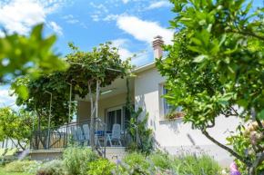 Vacation House Bile